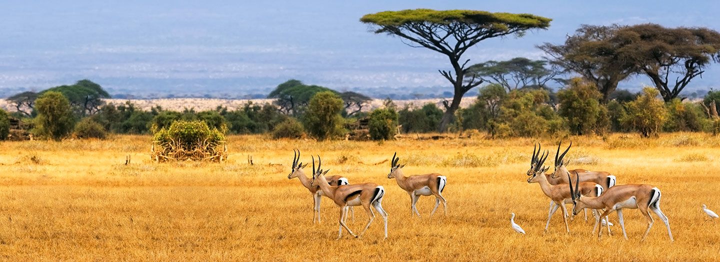Ruma National Park Guide